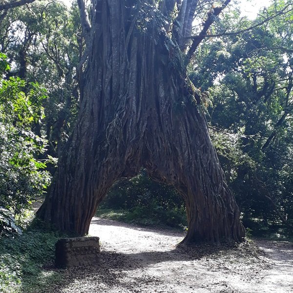 ARUSHA NATIONAL PARK