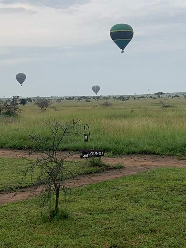 Destination Serengeti