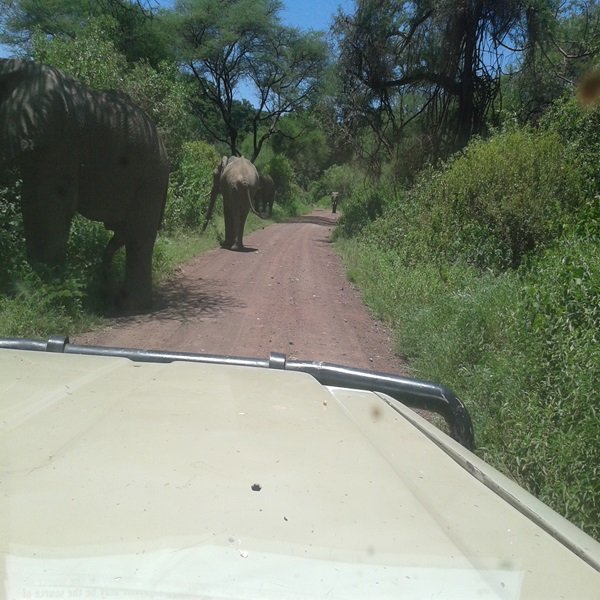 manyara