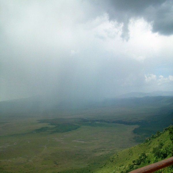 Ngorongoro 600 600